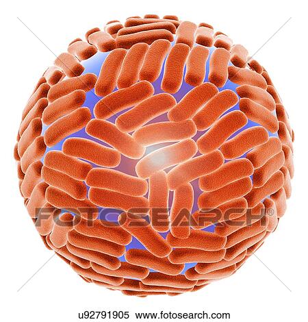 Stock Photography - "Zika virus, illustration". Fotosearch