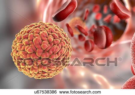 Stock Illustration - Zika virus in blood, illustration. Fotosearch