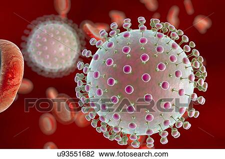 Stock Image - "Zika virus in blood, illustration". Fotosearch