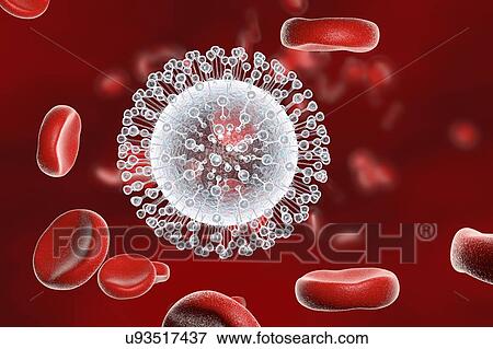 Stock Photo - "Zika virus in blood, illustration". Fotosearch