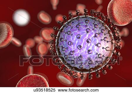 Stock Photography - "Zika virus in blood, illustration". Fotosearch