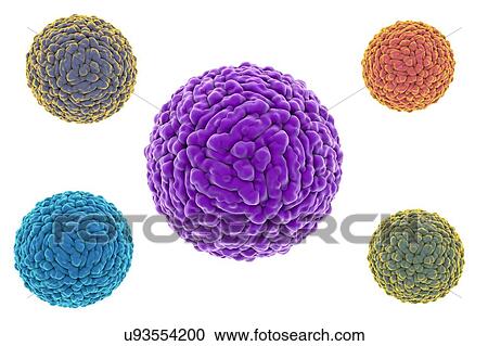 Stock Image - "Zika viruses, illustration". Fotosearch