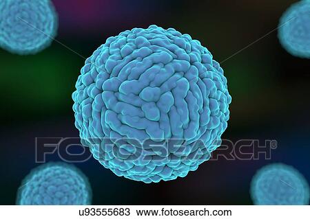 Stock Image - "Zika viruses, illustration". Fotosearch