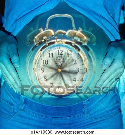 Alarm clock ringing and pregnant woman View Large Photo Image Stock Image - Alarm clock ringing and pregnant woman. Fotosearch