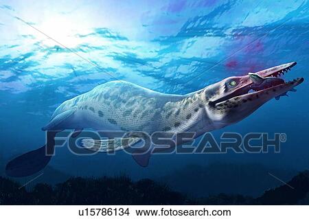 Picture - Artwork of a mosasaur. Fotosearch
