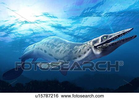 Artwork of a mosasaur View Large Photo Image Stock Photograph - Artwork of a mosasaur. Fotosearch