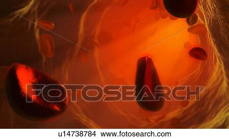 Artwork of cells in blood stream View Large Photo Image Picture - Artwork of cells in blood stream. Fotosearch