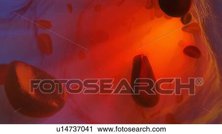 Stock Image - Artwork of cells in blood stream. Fotosearch