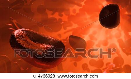 Stock Photo - Artwork of cells in blood stream. Fotosearch