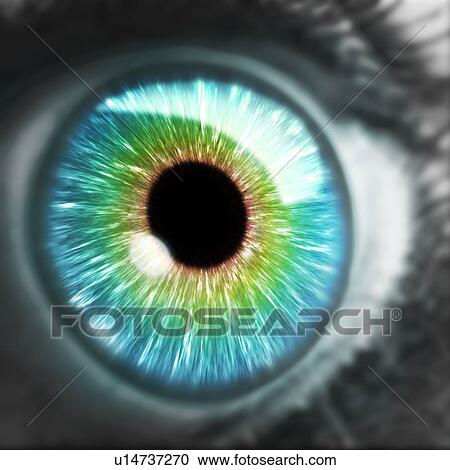 Stock Image - Artwork of human eye. Fotosearch
