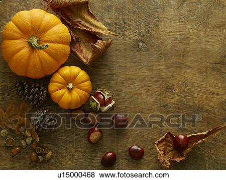 Autumn still life View Large Photo Image Stock Photo - Autumn still life. Fotosearch