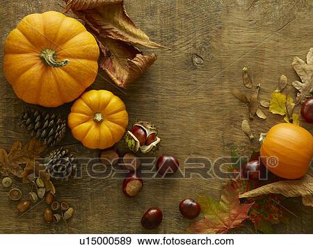 Autumn still life View Large Photo Image Stock Photo - Autumn still life. Fotosearch