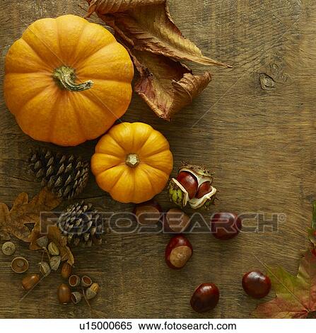 Autumn still life View Large Photo Image Stock Photography - Autumn still life. Fotosearch
