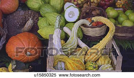 Stock Photography - Autumn vegetables at farmer's market. Fotosearch