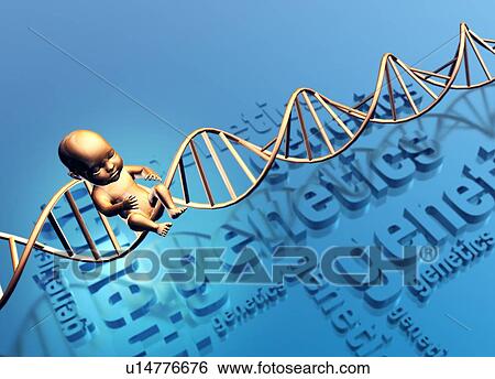 Baby with DNA View Large Photo Image Stock Photograph - Baby with DNA. Fotosearch
