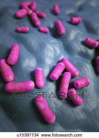 Picture - Bacteria. Fotosearch