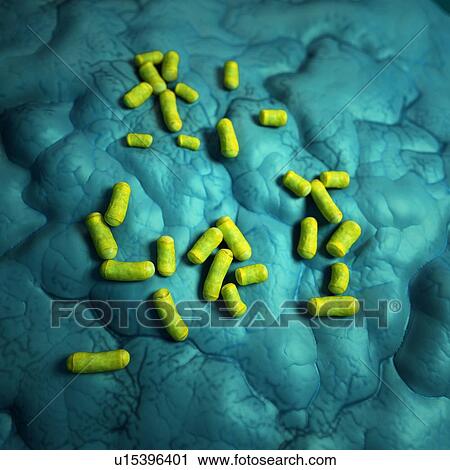 Stock Image - Bacteria. Fotosearch