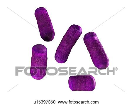 Bacteria View Large Photo Image Stock Image - Bacteria. Fotosearch