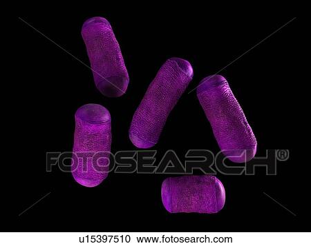 Bacteria View Large Photo Image Stock Image - Bacteria. Fotosearch