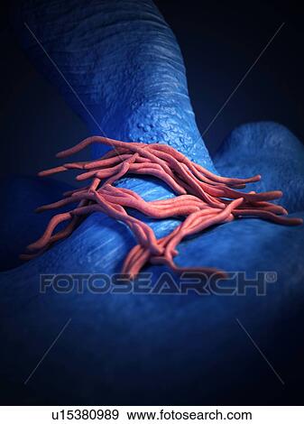 Stock Photo - Bacteria. Fotosearch