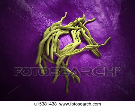 Stock Photo - Bacteria. Fotosearch