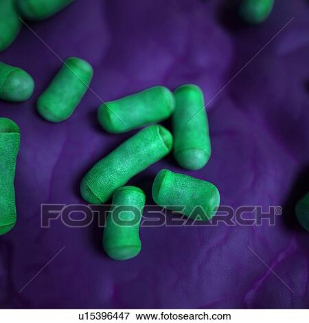 Stock Photo - Bacteria. Fotosearch