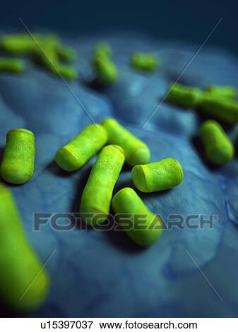 Bacteria View Large Photo Image Stock Photo - Bacteria. Fotosearch