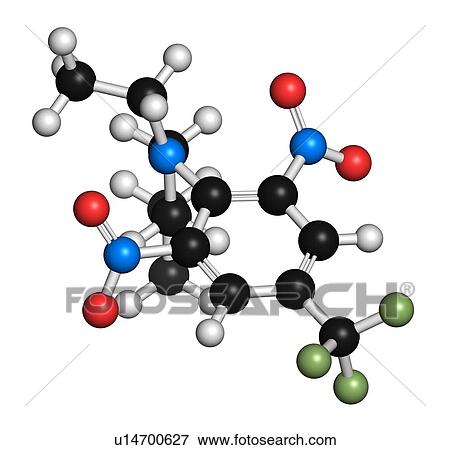 Benfluralin molecule, illustration View Large Photo Image Stock Photo - Benfluralin molecule, illustration. Fotosearch
