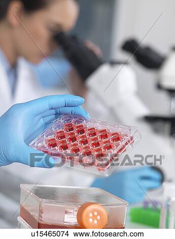 Picture - Biological research. Fotosearch