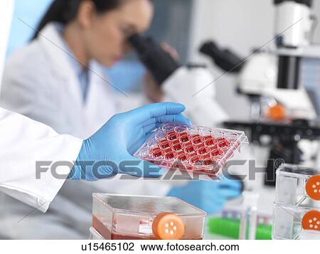 Biological research View Large Photo Image Stock Image - Biological research. Fotosearch