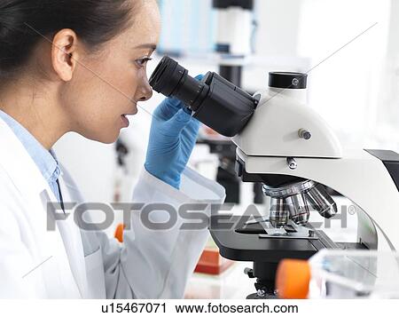 Biological research View Large Photo Image Stock Image - Biological research. Fotosearch