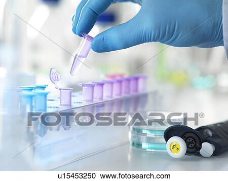 Biomedical research View Large Photo Image Stock Image - Biomedical research. Fotosearch