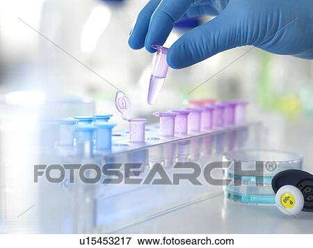 Biomedical research View Large Photo Image Stock Photo - Biomedical research. Fotosearch