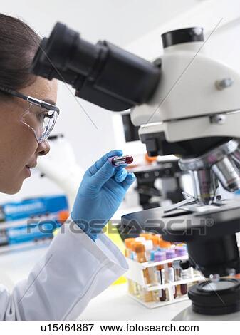 Blood analysis View Large Photo Image Stock Photo - Blood analysis. Fotosearch