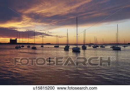 Boats in harbor at dawn View Large Photo Image Stock Image - Boats in harbor at dawn. Fotosearch