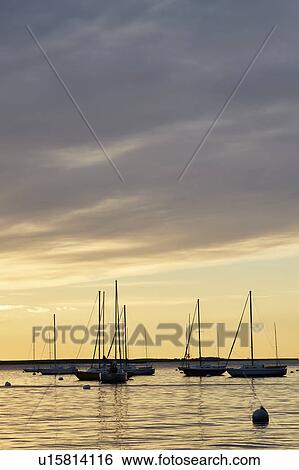 Boats in harbor at dawn View Large Photo Image Stock Photograph - Boats in harbor at dawn. Fotosearch