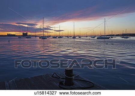 Boats moored in harbor at dawn View Large Photo Image Stock Photo - Boats moored in harbor at dawn. Fotosearch
