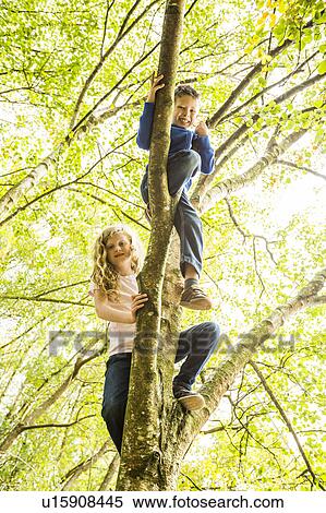 Boy (6-7) and girl (8-9) climbing tree View Large Photo Image Stock Photography - Boy (6-7) and girl (8-9) climbing tree. Fotosearch
