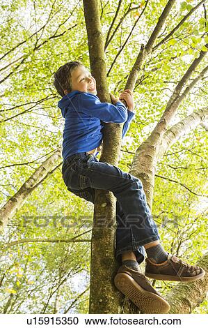 Stock Image - Boy (6-7) climbing tree. Fotosearch