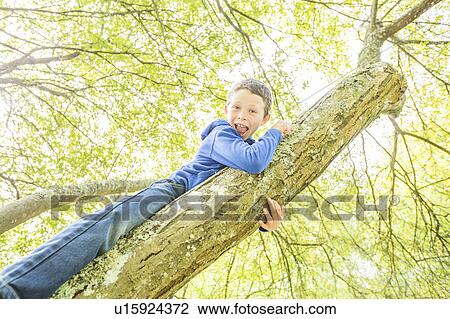 Stock Image - Boy (6-7) climbing tree. Fotosearch