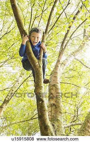 Stock Photo - Boy (6-7) climbing tree. Fotosearch