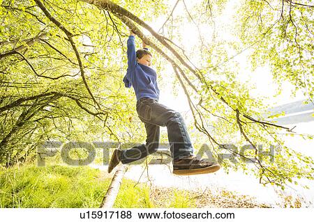 Stock Photo - Boy (6-7) hanging on branch. Fotosearch