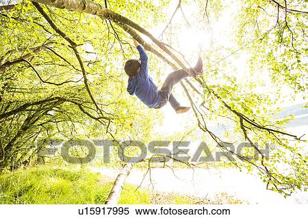 Stock Photography - Boy (6-7) hanging on branch. Fotosearch