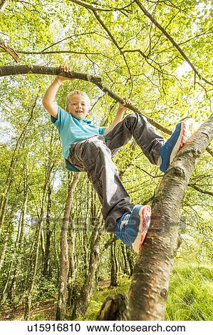 Boy (8-9) hanging on branch View Large Photo Image Stock Image - Boy (8-9) hanging on branch. Fotosearch