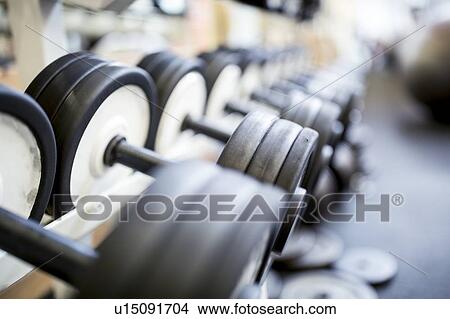 Picture - Close-up of dumbbells in row. Fotosearch