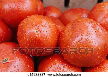 Stock Photo - Close-up of raw tomatoes. Fotosearch