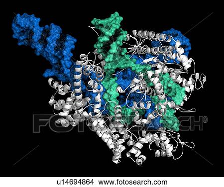CRISPR-CAS9 gene editing, illustration View Large Photo Image Picture - CRISPR-CAS9 gene editing, illustration. Fotosearch