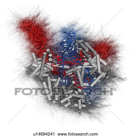 CRISPR-CAS9 gene editing, illustration View Large Photo Image Stock Image - CRISPR-CAS9 gene editing, illustration. Fotosearch