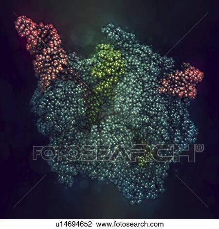 Stock Image - CRISPR-CAS9 gene editing, illustration. Fotosearch