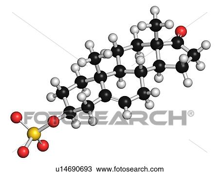 Dehydroepiandrosterone, illustration View Large Photo Image Stock Image - Dehydroepiandrosterone, illustration. Fotosearch
